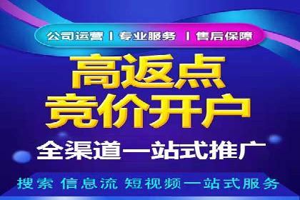 行业领先企业如何通过网络推广实现竞价增长